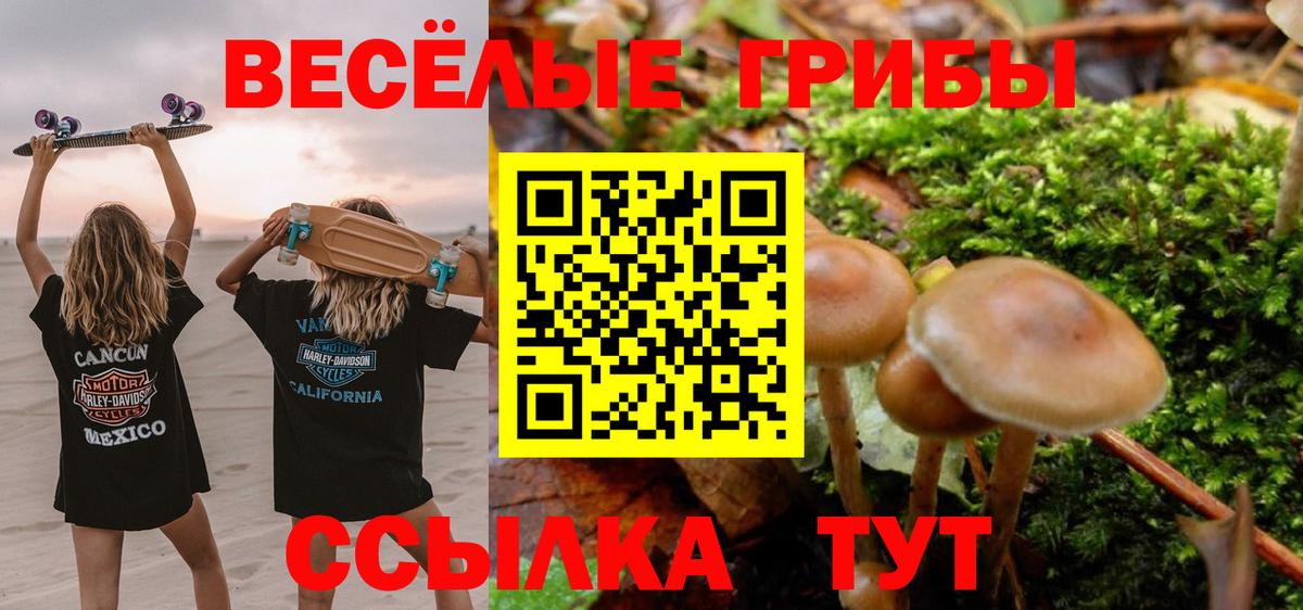 Галлюциногенные грибы мухоморы Каменск-Уральский